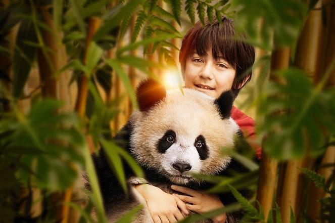 Kino: PANDA A JÁ